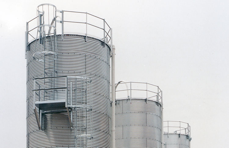 Silo ladders